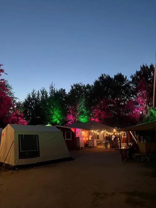 Camp by night