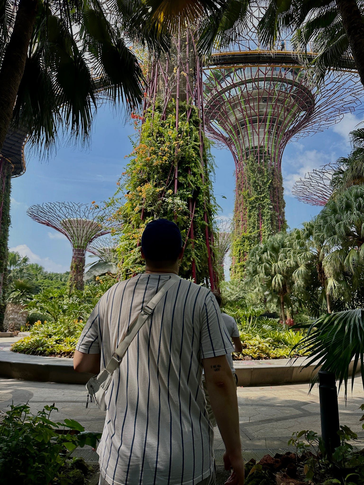 Singapur Super Trees
