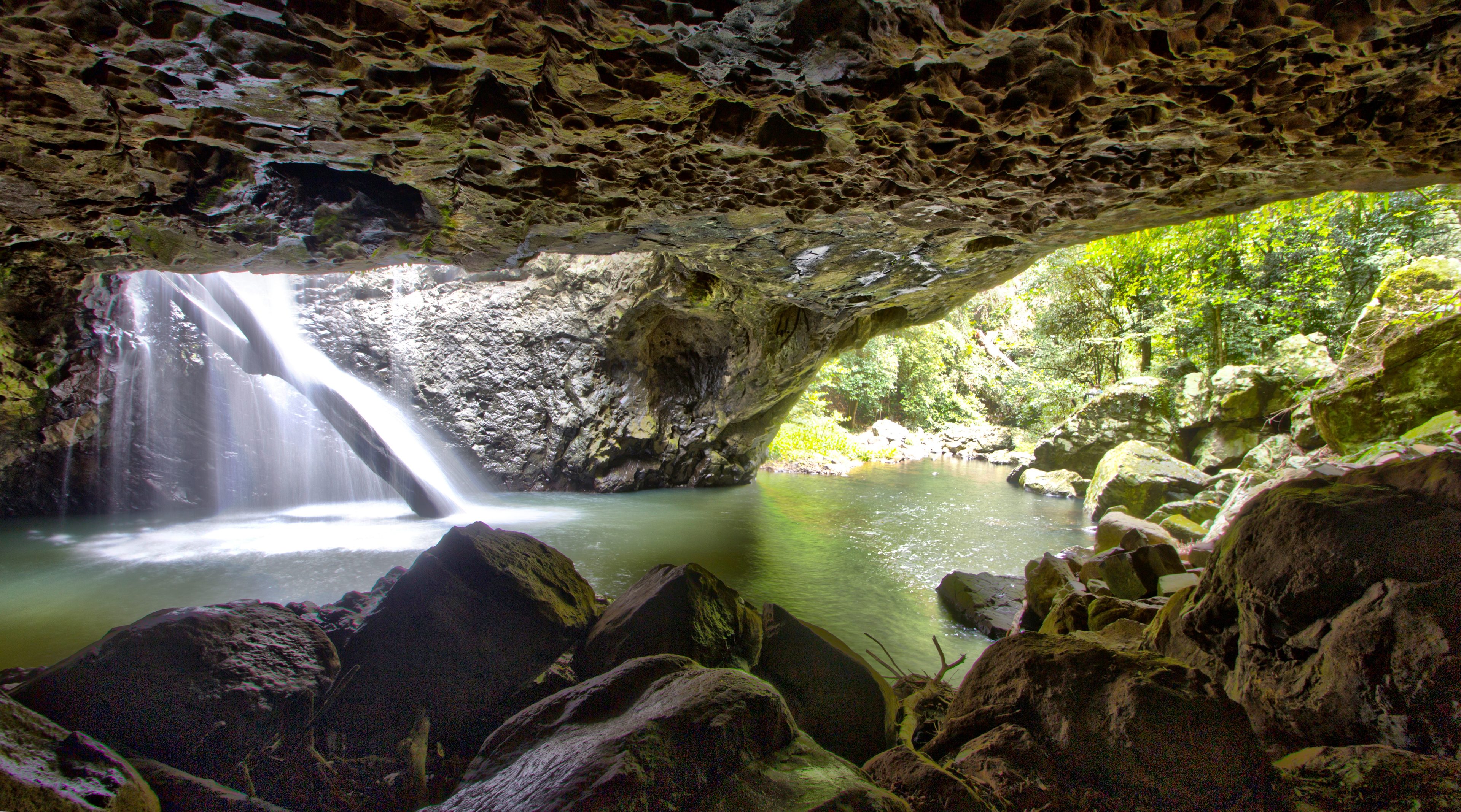 Natural Bridge Rainforest Walk