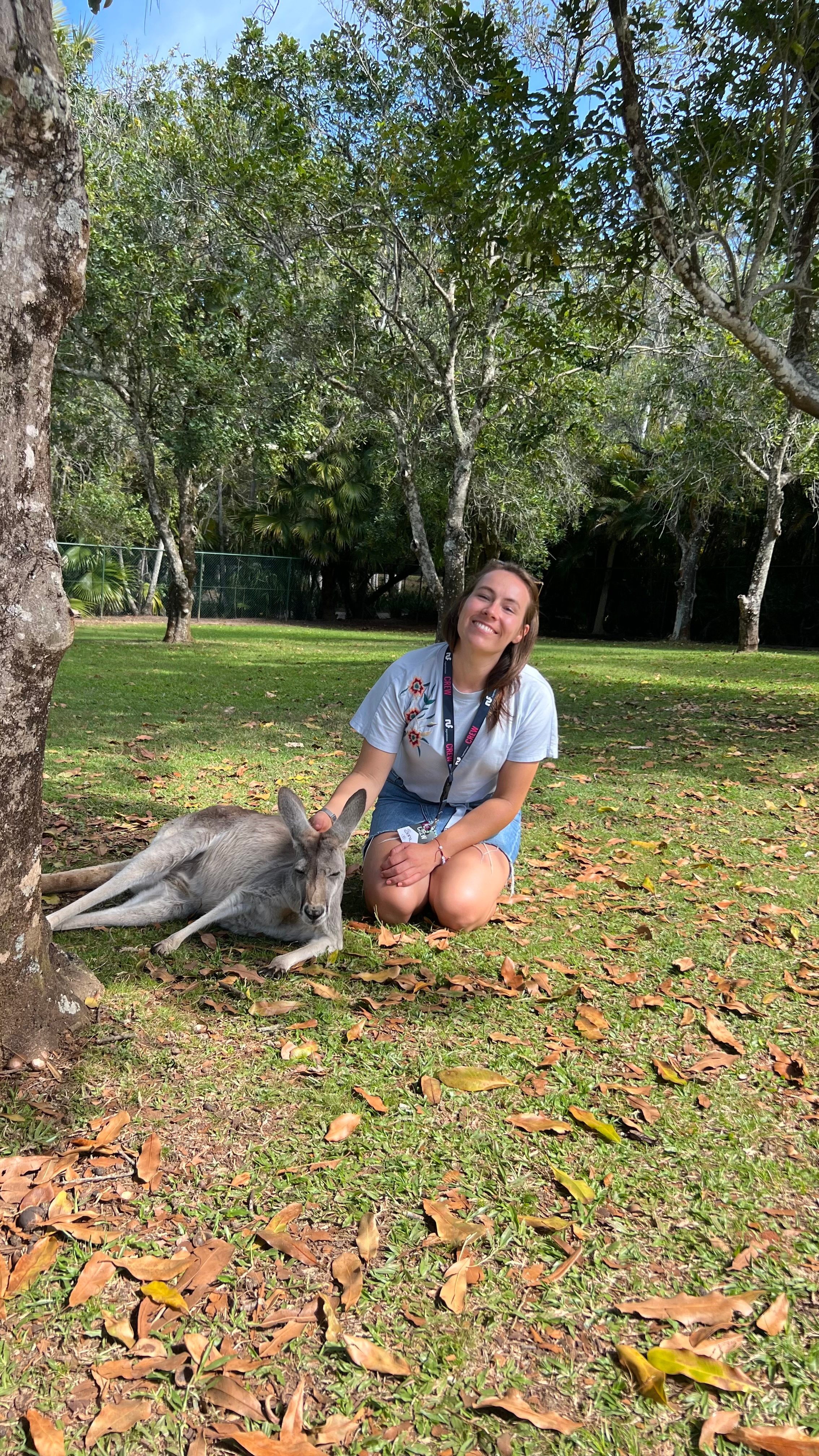 Reiseleitung mit Känguru
