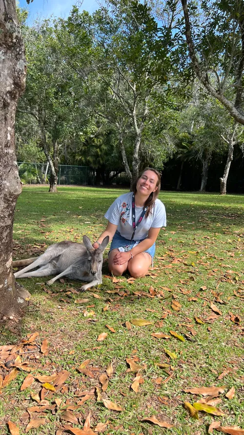 Reiseleitung mit Känguru