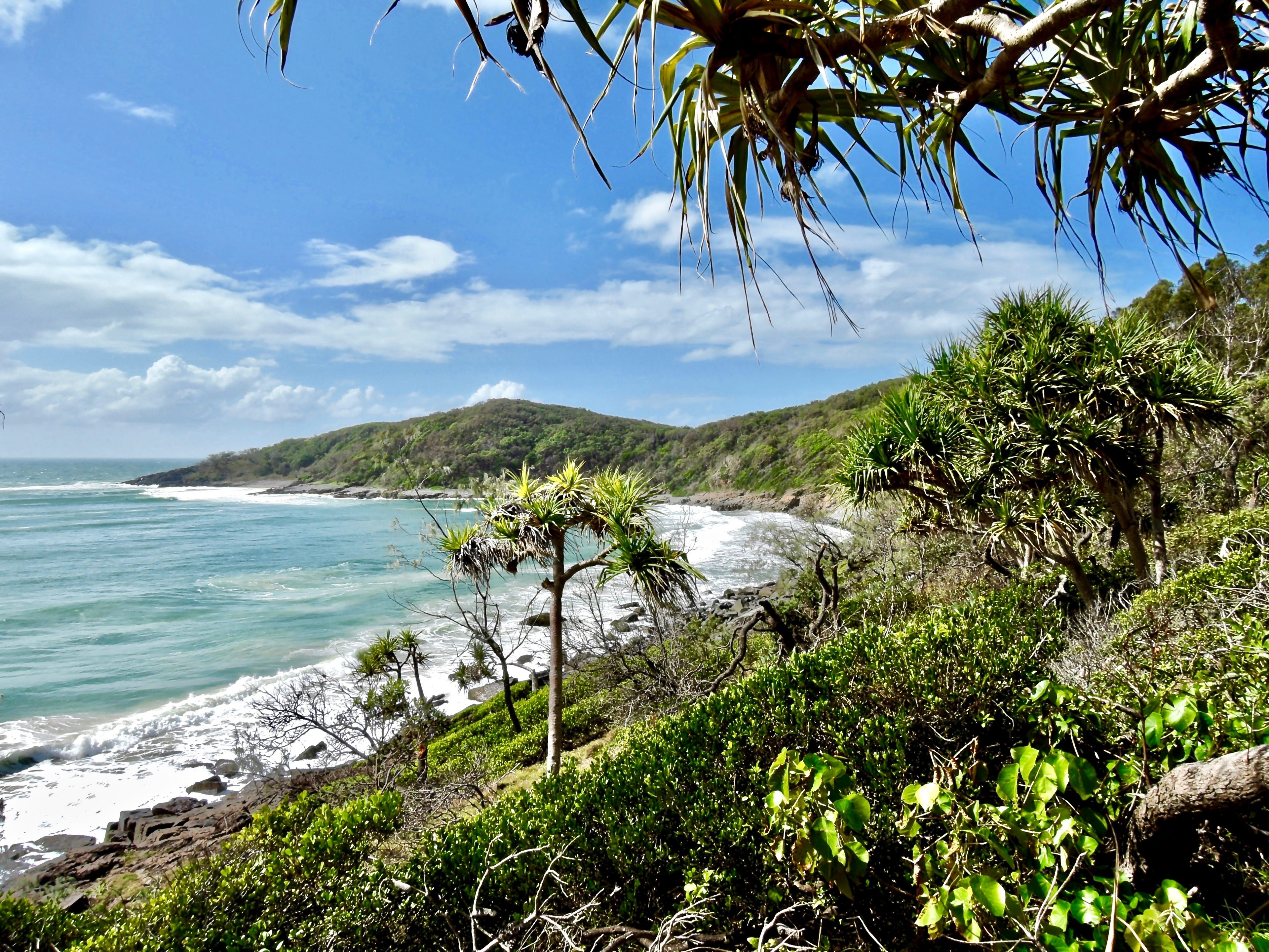 Noosa Coast