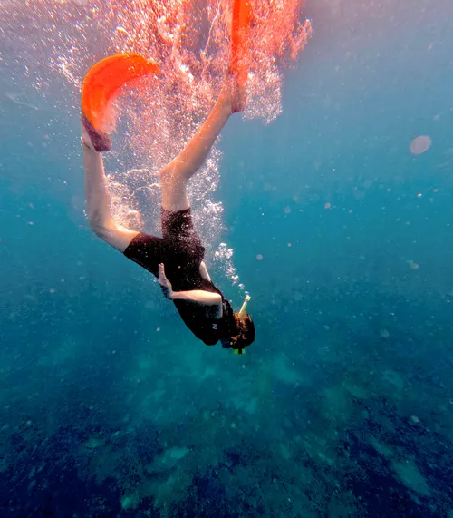 Schnorcheln in Australien