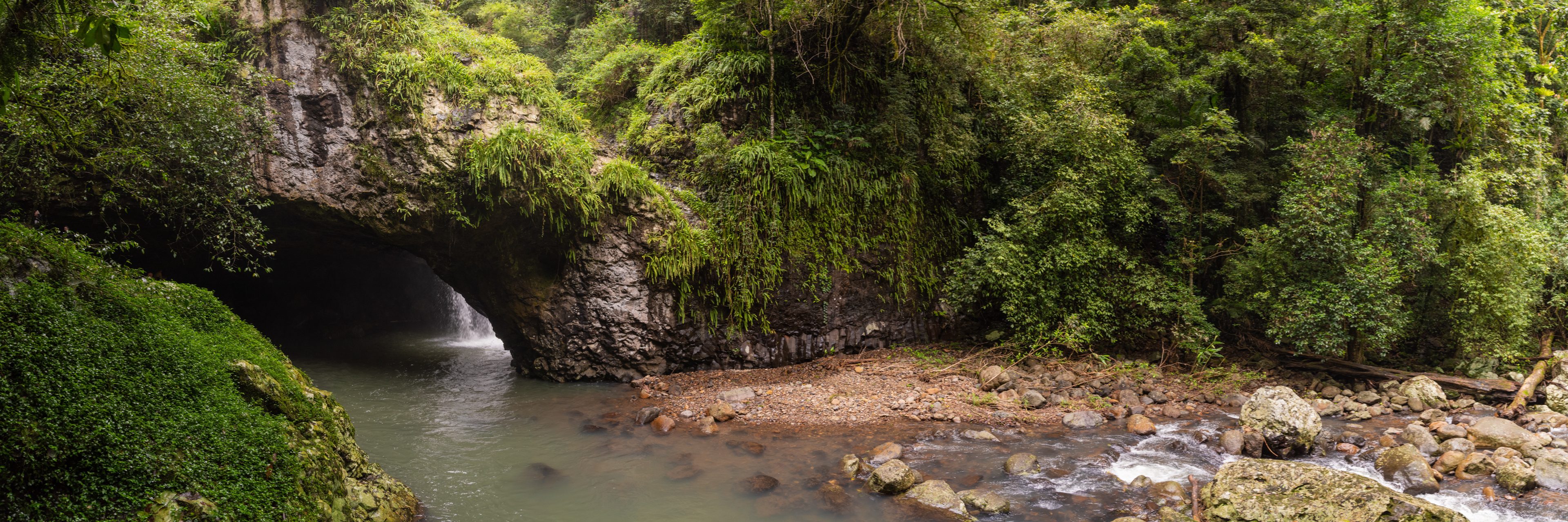 Springbrook National Park 