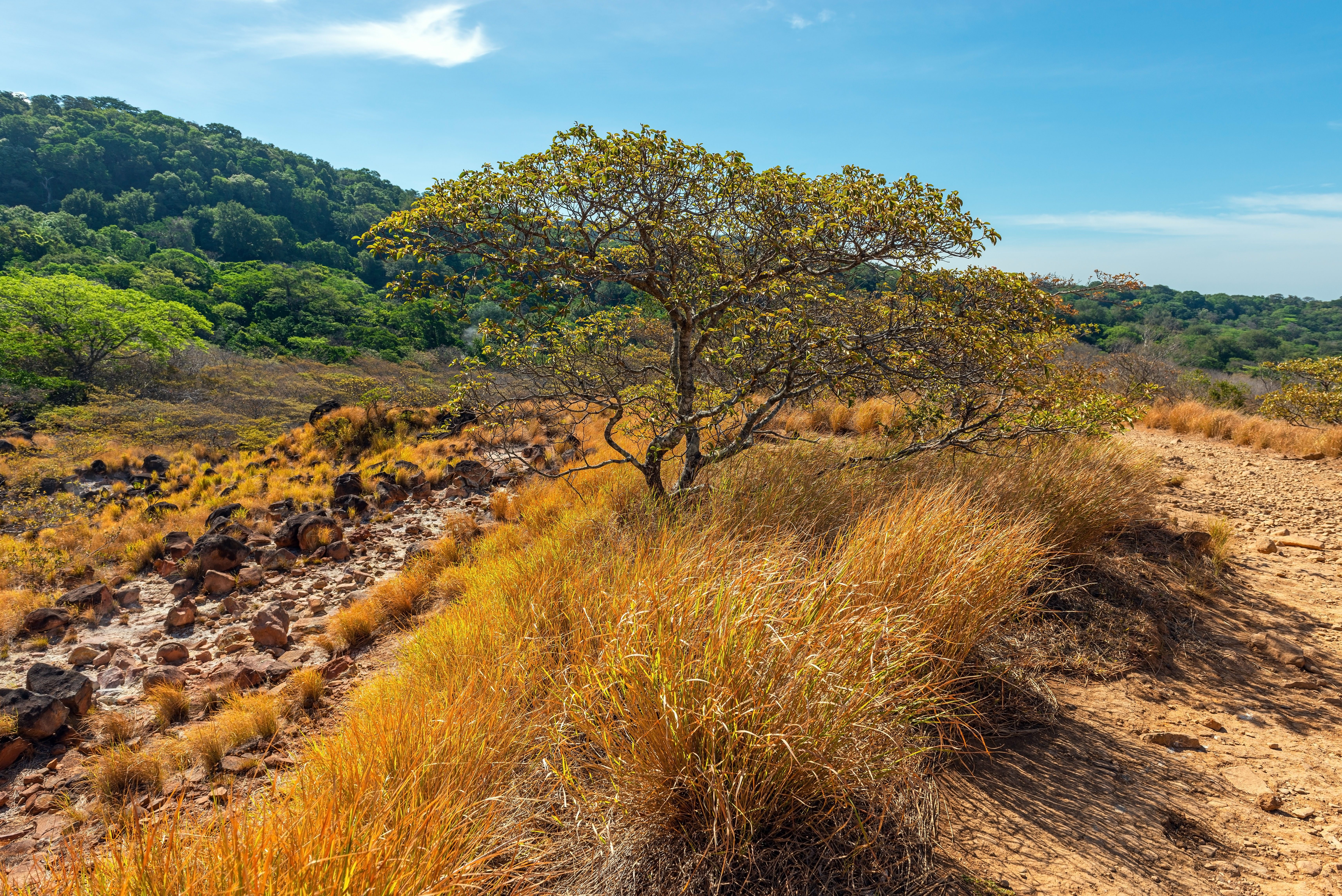 Nationalpark Rincon de la Vieja