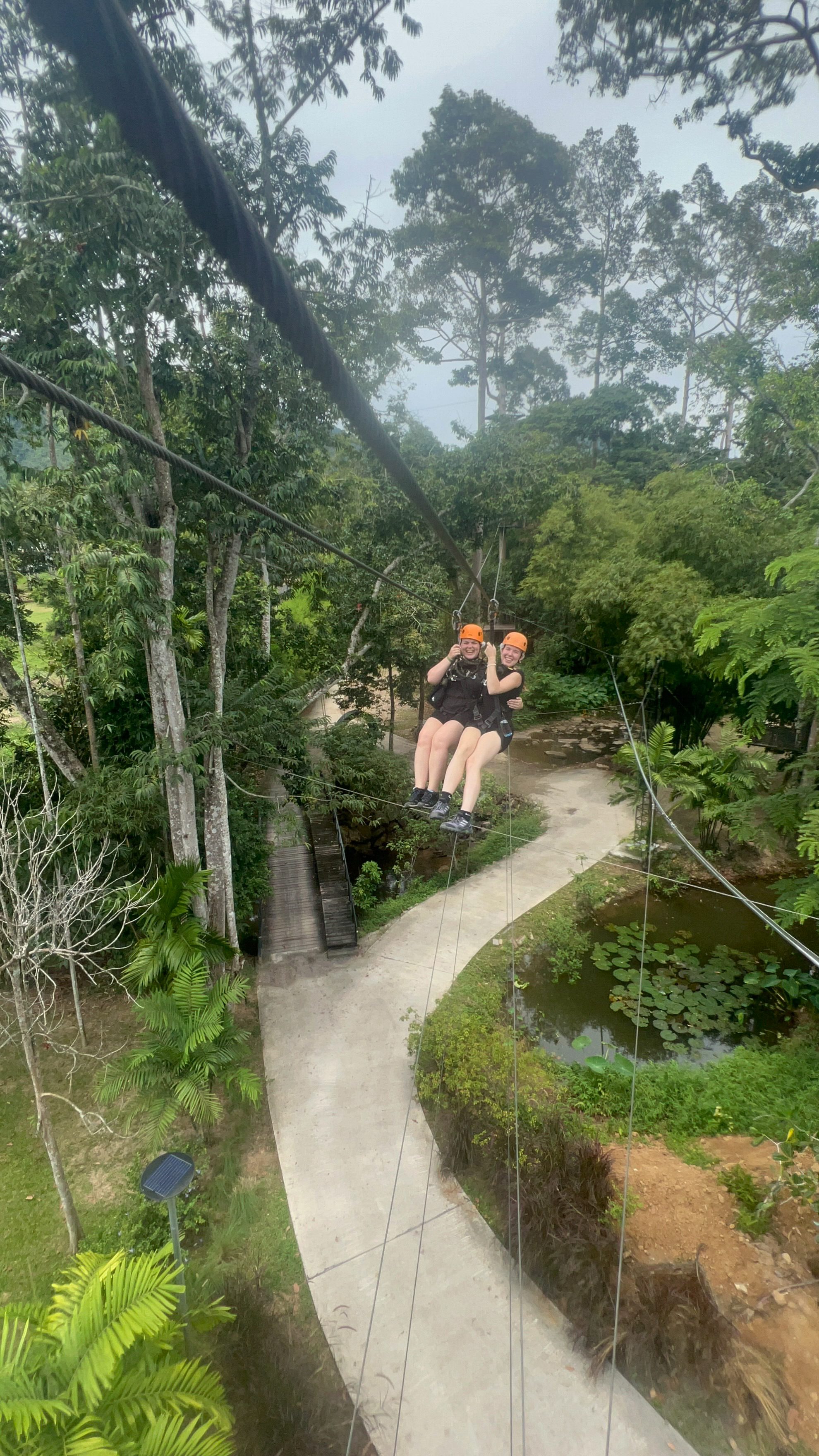 Zipline