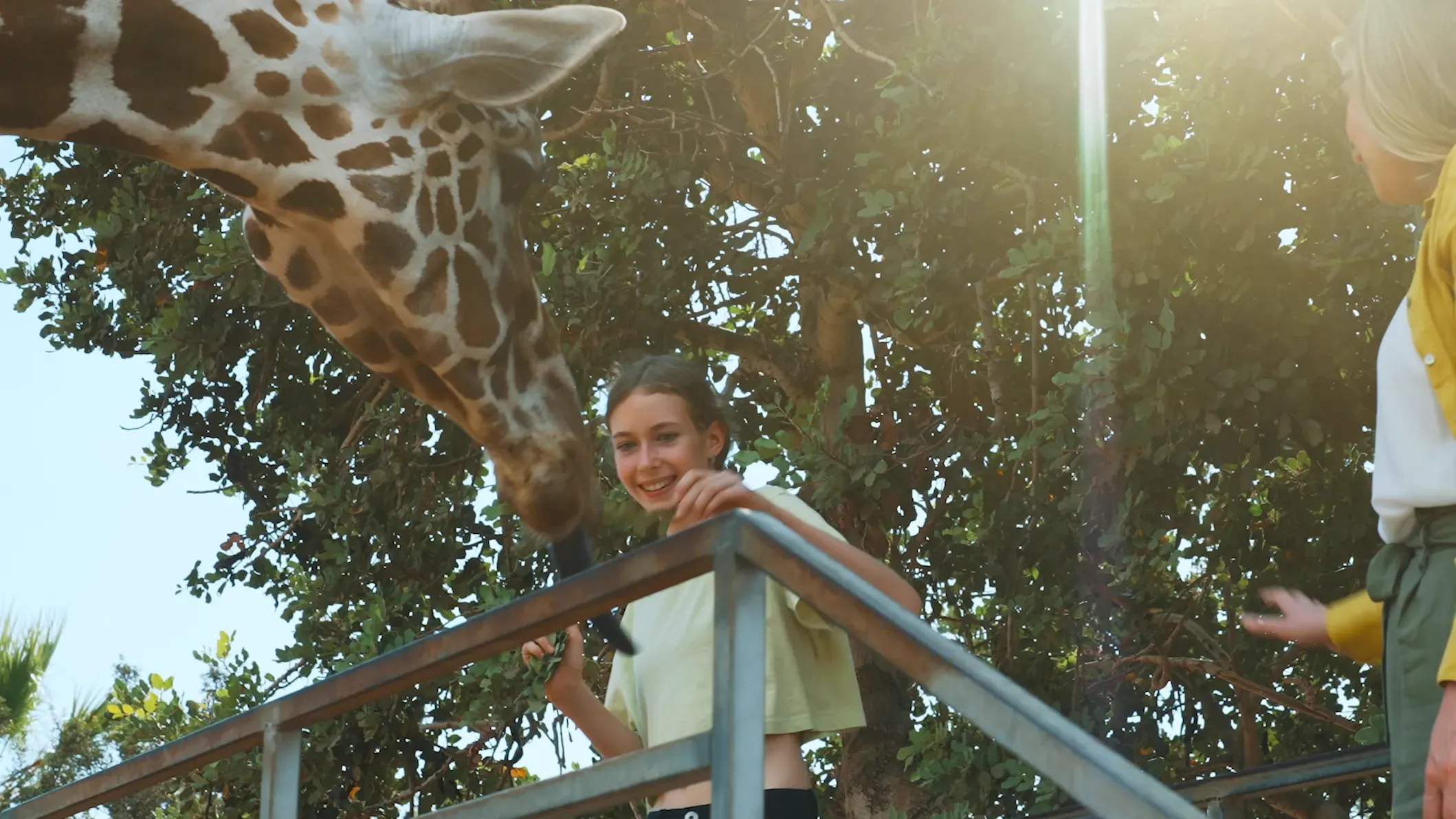 Mädchen mit Giraffe bei Safari