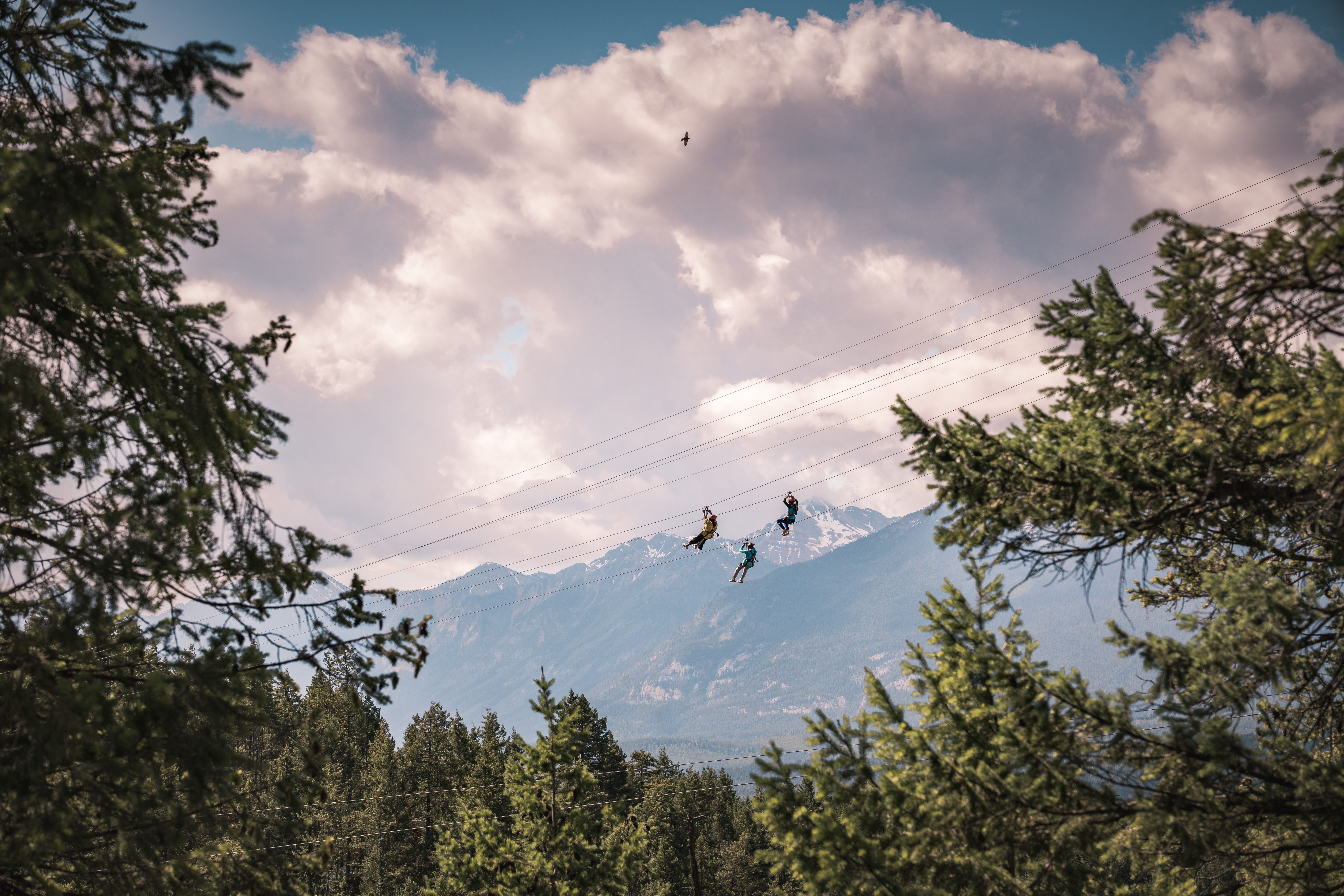 Zipline