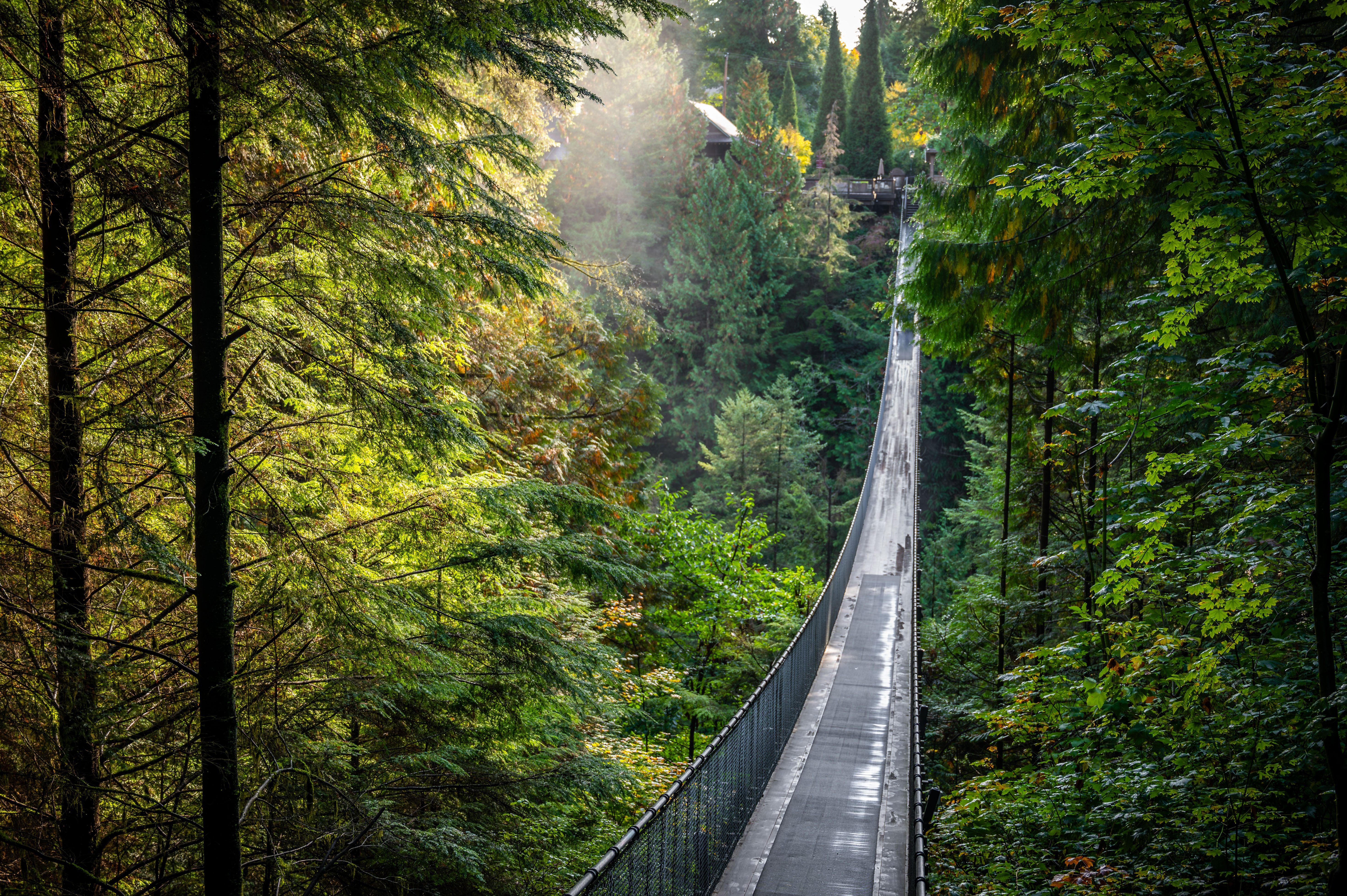 Hängebrücke im Capilano Suspension Bridge Park 