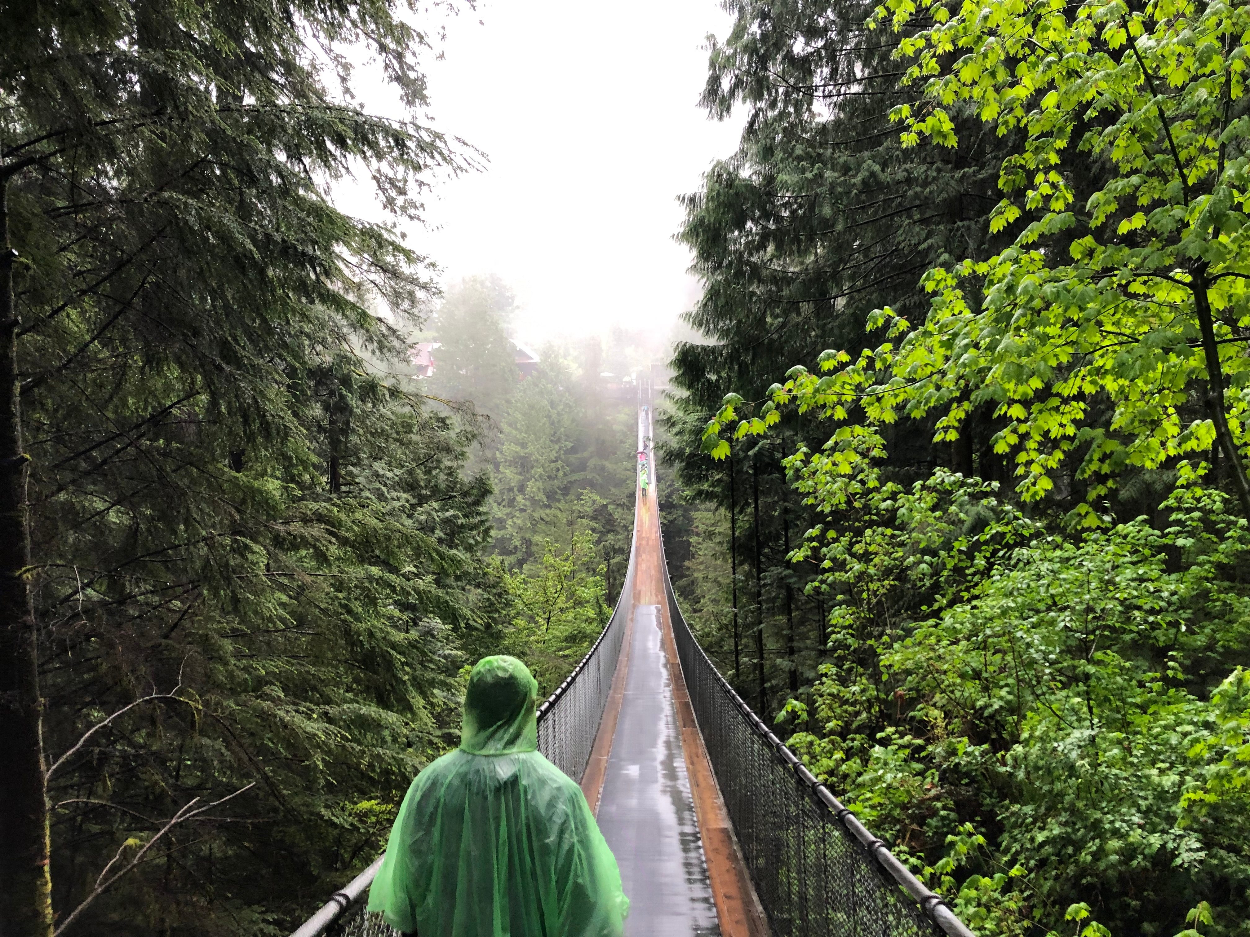 Hängebrücke im Capilano Suspension Bridge Park