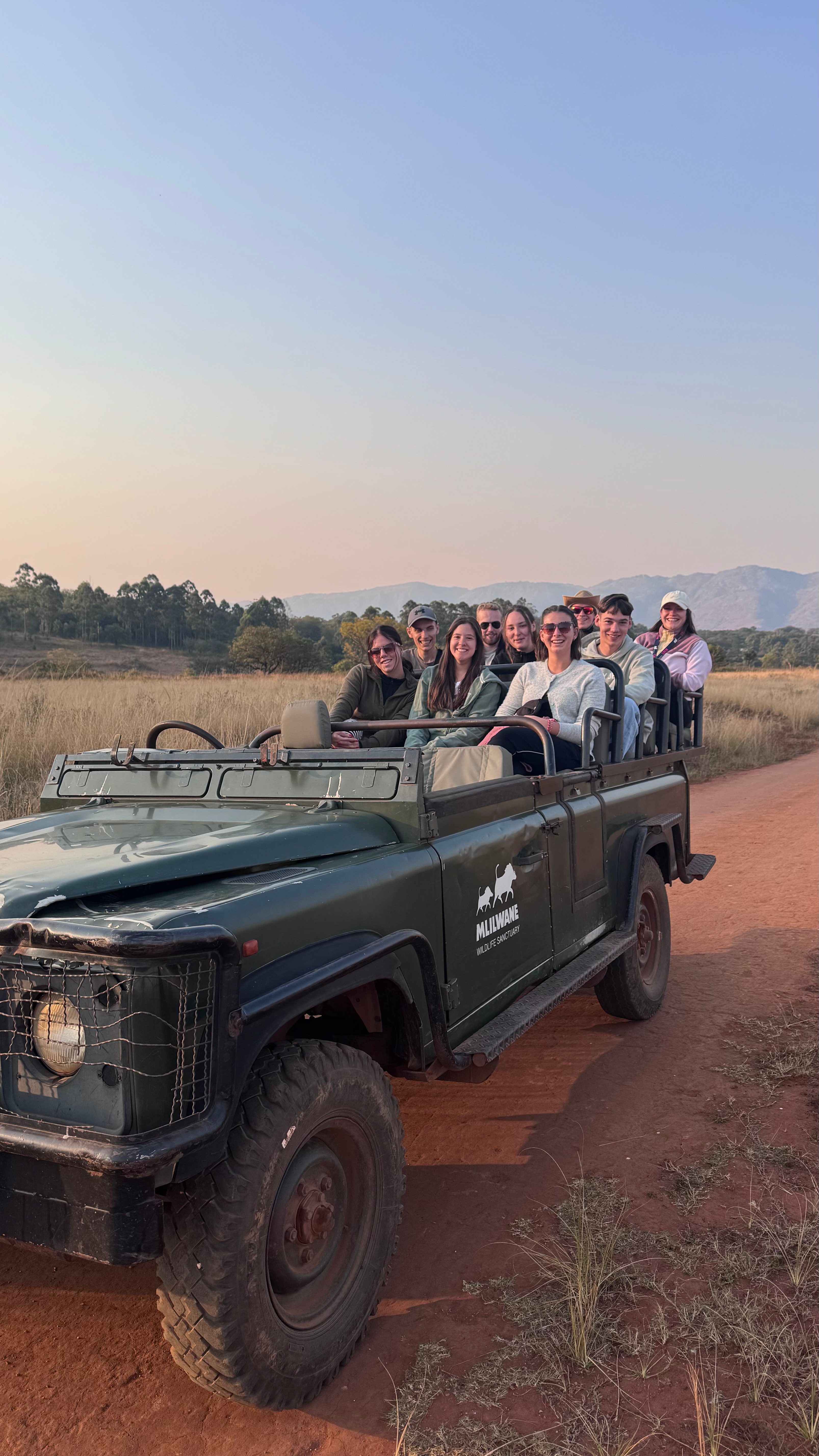 Safari