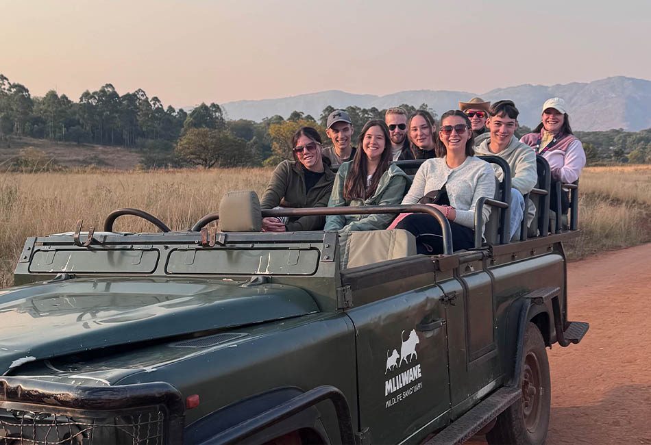 Safari 